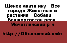 Щенок акита ину - Все города Животные и растения » Собаки   . Башкортостан респ.,Мечетлинский р-н